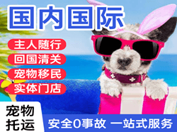 龙洞堡空运地址国际宠物托运 【国